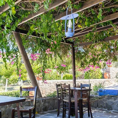 Traditional, Aegina Island Vagia (Aegina)