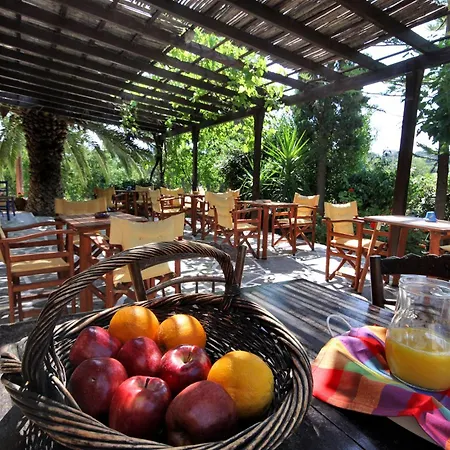 Hotel Traditional, Aegina Island Vagia (Aegina)
