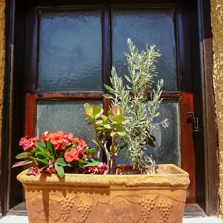 Traditional, Aegina Island 3* Vagia (Aegina)