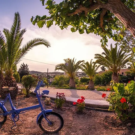 Traditional, Aegina Island 3* Vagia (Aegina)